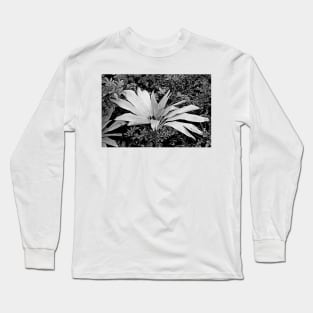 Iao Valley State Monument Study 15 Long Sleeve T-Shirt